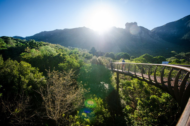 Kirstenbosch 800